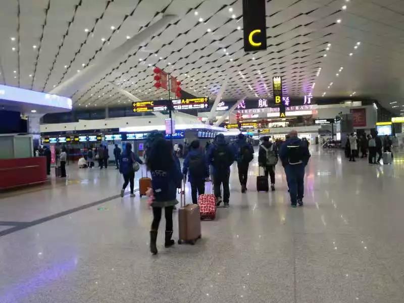 七天七夜,杭州归来!(图2) 七天七夜,杭州归来!(图2)