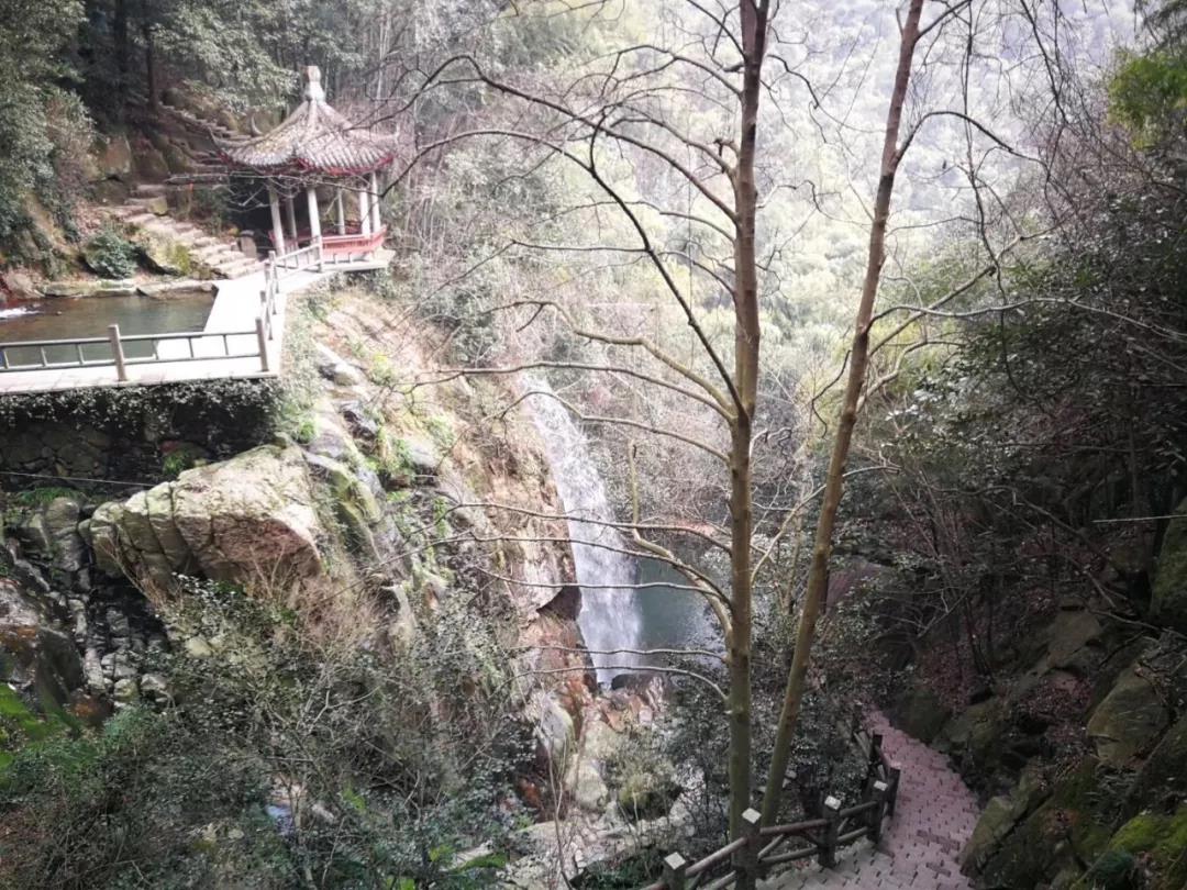 七天七夜,杭州归来!(图34) 七天七夜,杭州归来!(图34)