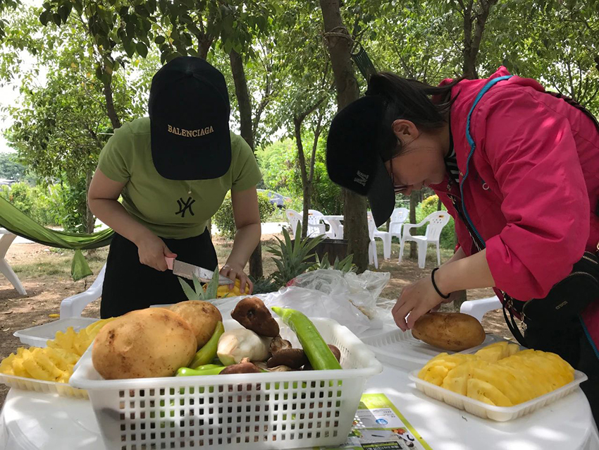 初夏阳光下,海乐青年放飞自我!2020年度踏青进行时!(图4) 初夏阳光下,海乐青年放飞自我!2020年度踏青进行时!(图4)
