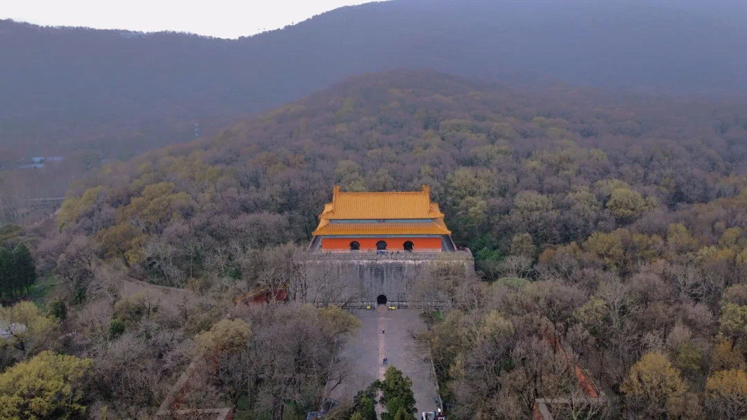 三月，向南迎春去(图2)