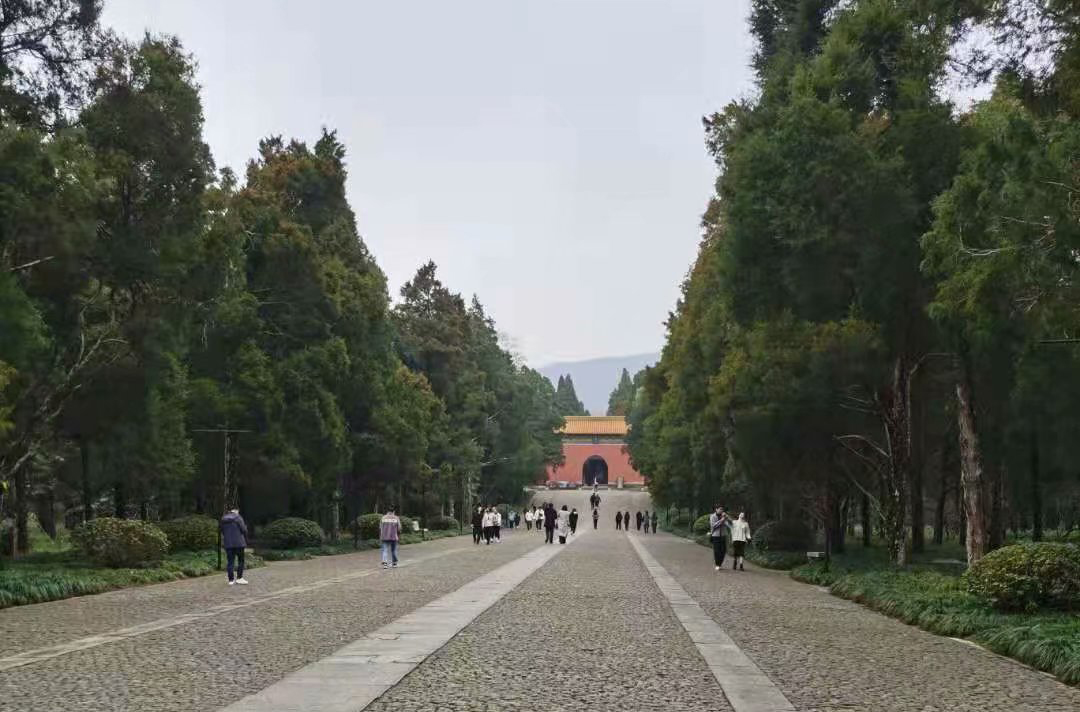 三月，向南迎春去(图3)